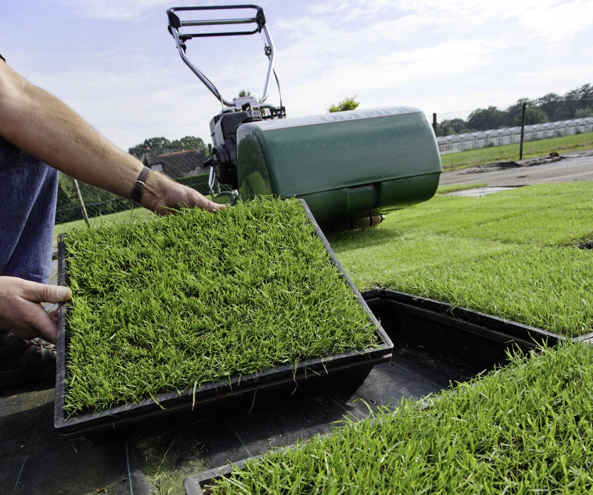 Research and Development4.png.png